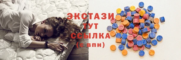 хмурый Аркадак