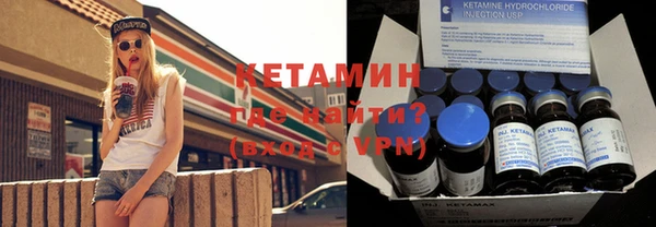 хмурый Аркадак