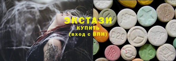 хмурый Аркадак