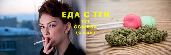 хмурый Аркадак