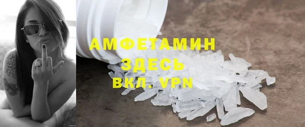 хмурый Аркадак