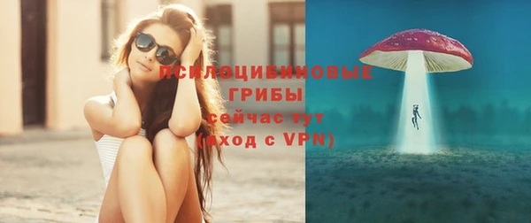 хмурый Аркадак