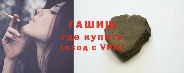 хмурый Аркадак