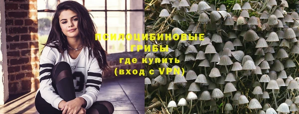 PSILOCYBIN Армянск