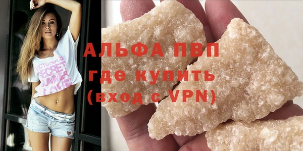 хмурый Аркадак