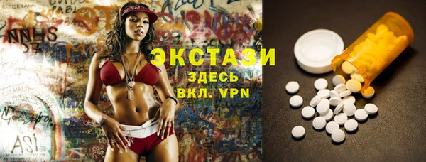 хмурый Аркадак