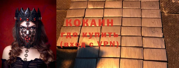 хмурый Аркадак