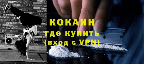 хмурый Аркадак