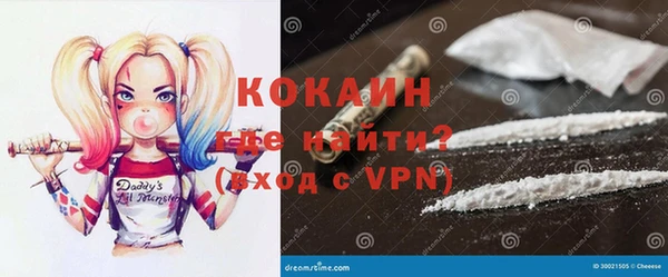 хмурый Аркадак