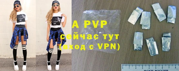 хмурый Аркадак